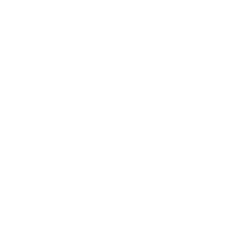 RISE-logo-verticle-wht